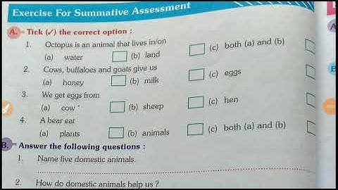 Class-2,EVS, lesson-7 The world of animals, Exercise