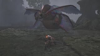 裸太刀(納刀術3のみ) VS 歴戦王ウズ・トゥナ 【MHWilds】