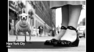 Elliott Erwitt
