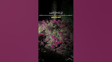 القران الكريم ترتيل جميل منظر جميل ما شاء الله تبارك الله