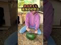 男が考えた最強の給餌法