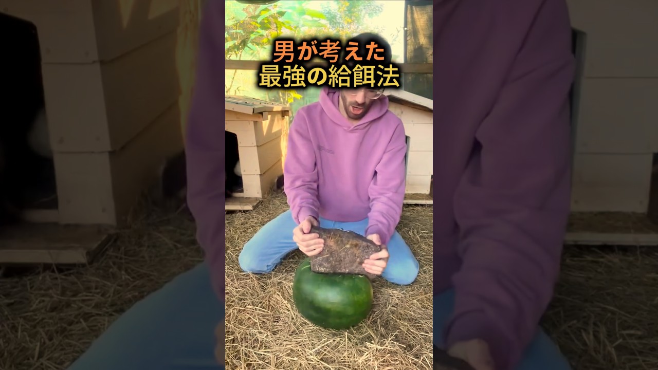 男が考えた最強の給餌法