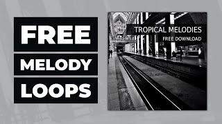 40 FREE EDM Melodies Samples | Tropical Melodies by Loopersound