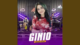 Ginio (Cover)