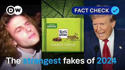 Fact check: The most bizarre fakes of 2024 | DW News