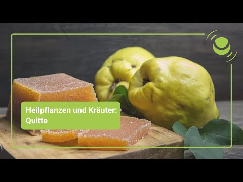 Video: Die Heilenden Eigenschaften Von Quitten