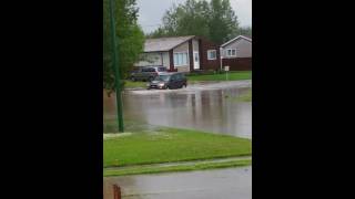 Rainy day on my street.