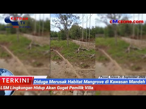 Diduga Merusak Habitat Mangrove di Kawasan Mandeh, LSM Lingkungan akan Gugat Pemilik Villa