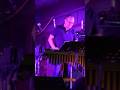 Festival "Plateias" | Dimitris Angelakis quartet #dimitrisangelakis #vibraphonist