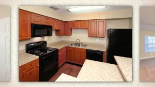 Twin Lakes Apartments for rent in Palm Harbor, FL