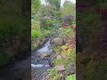 #nature #naturelovers