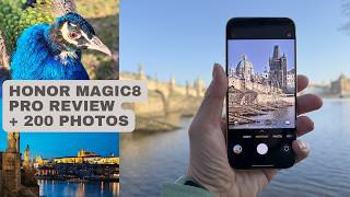 Тест камеры Honor Magic 8 Pro: обзор + 200 примеров фотографий | видео 4K HDR