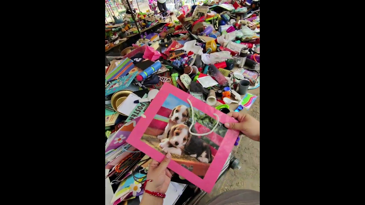 Busca dos tesoros o en 3 tianguis diferentes 🥹🥳 #chacharas 