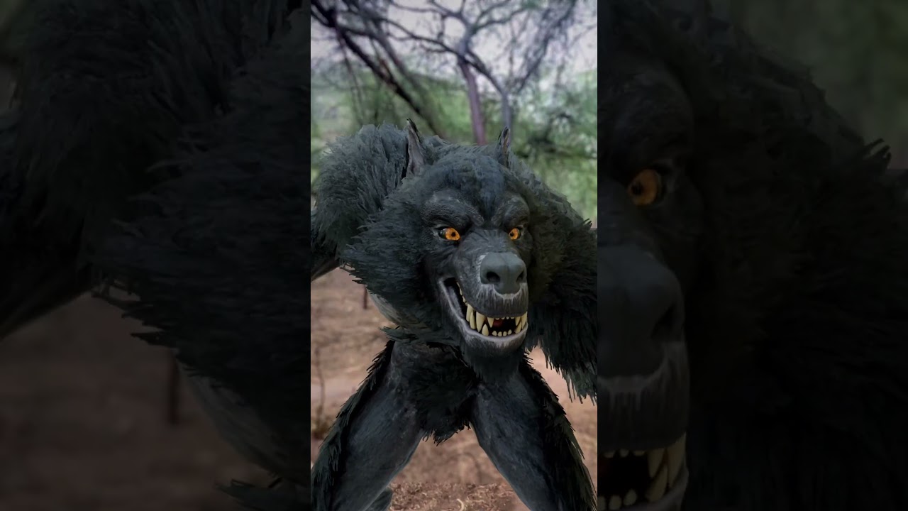 WereWolf Seen In DayLight 🤨 Attack By Werewolf P2 