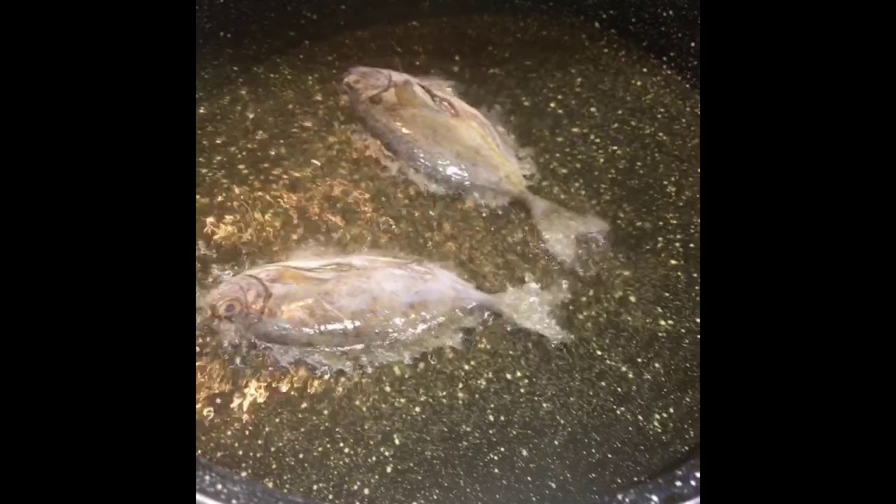 سمك الصافي بسكوت مقلي مع عمو عايش الشواف