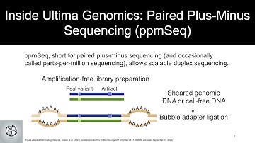 Inside Ultima Genomics: Paired Plus-Minus Sequencing (ppmSeq)