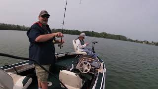 windy day bluegills
