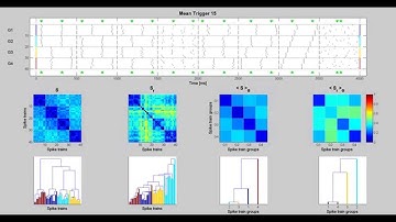SPIKE-distance 1b - Monitoring spike train synchrony (silent)