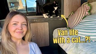 Ive Only Gone & Sprained My Ankle& Training My Cat For Van Life