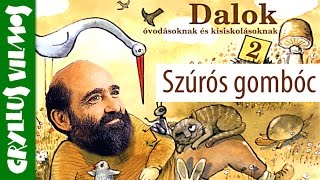 Gryllus Vilmos: Szúrós gombóc (gyerekdal) chords