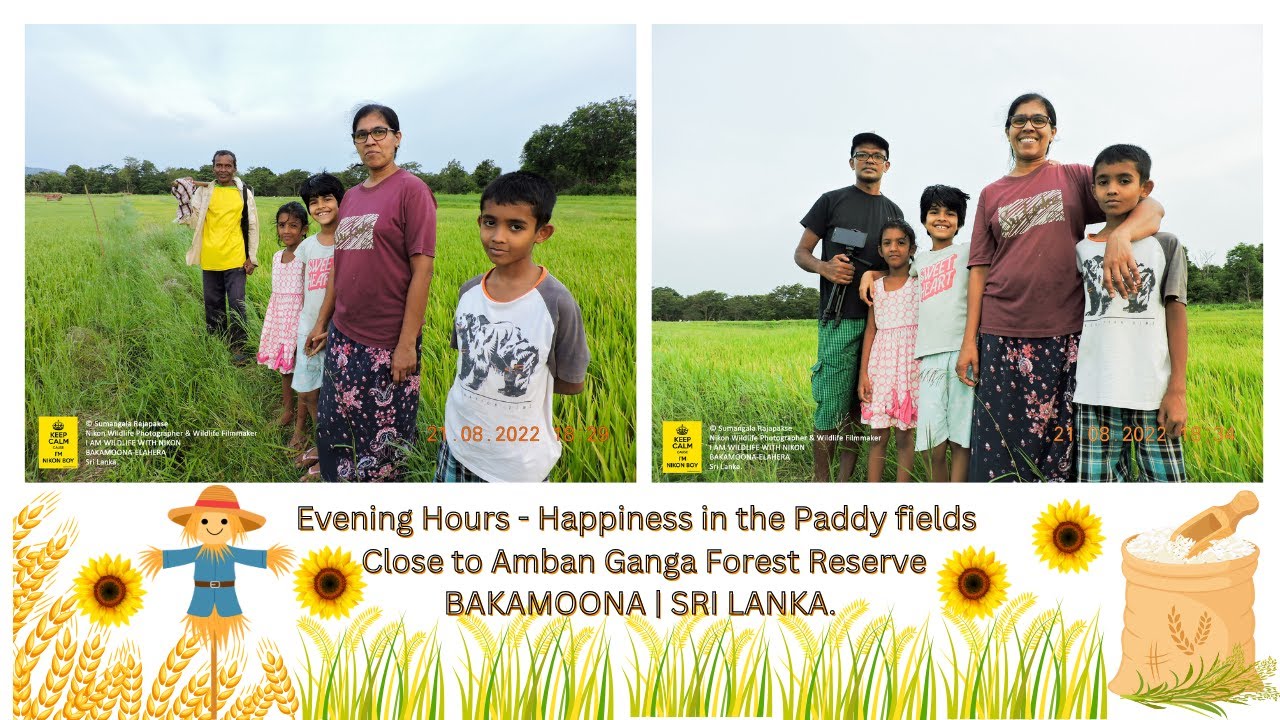 Happiness in the Paddyfields - Bakamoona, Sri Lanka. 