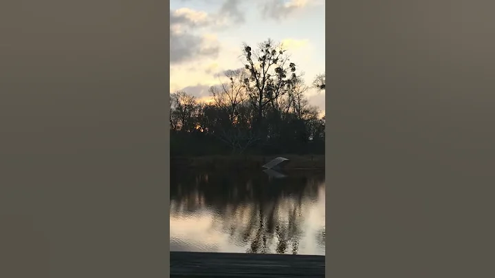 Peace in Tylertown