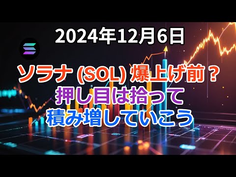 ソラナ (SOL) は爆上げ前なのか？押し目を拾って積み増していこう！