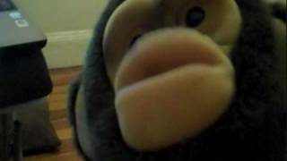 Fashion Chimp Fashion Tips - He Goes There