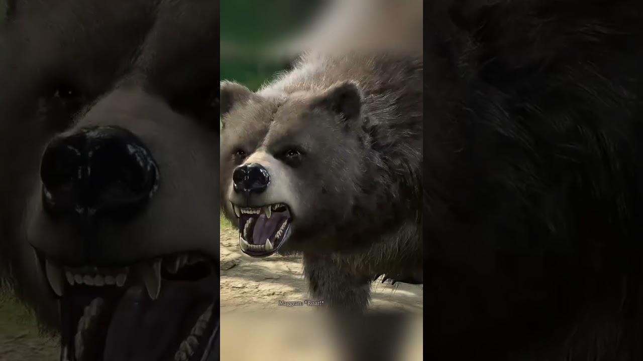 Почему вам никогда не следует освобождать Хальсина: Baldur's Gate 3