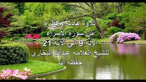 تلاوة هادئة ورائعة للعلامة عبدالله البخاري حفظه الله
