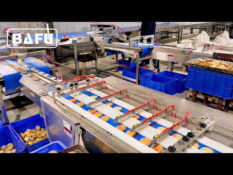 cake packaging machine, biscuit packaging machine, bread packaging machine,  flow wrapper, flow-pack