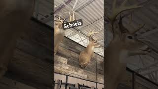 Scheels Sporting Goods