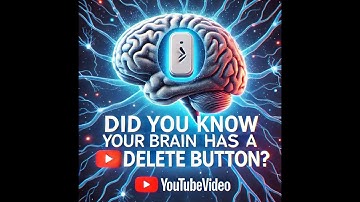 Did You Know Your Brain Has a ‘Delete’ Button?