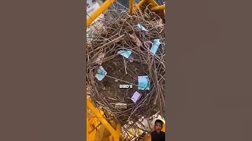 Een schokkende ontdekking bovenop een telecommunicatietoren! #shorts #crazymoments #viral