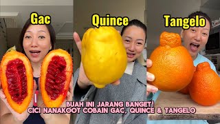Nanakoot Review Buah Unik! Gac, Quince &amp; Tangelo — Rasanya Bikin Kaget 😱🍊