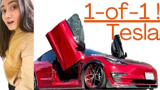 1 of 1 Tesla Model 3: Custom Airbrush, Air Suspension & Lambo Doors! | Electrify Expo Seattle