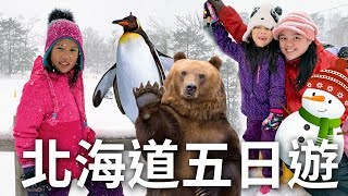 寒假出國玩北海道戲雪冰釣公魚洞爺湖燈節