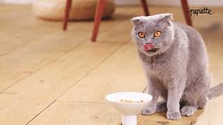 Pepette - Qui Aime Bien, Nourrit Bien.