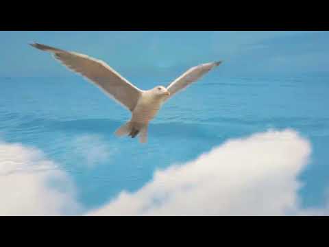 Stranger On The Shore   -   London Pops Orchestra