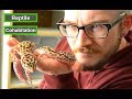 Should I Cohab My Reptiles? | Keeping Reptiles Together