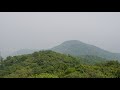 wildlife sanctuary !! natural photography !! dalma short review