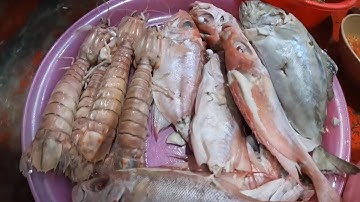 Cơm Tối Đơn Giản Trên Ghe Với Mâm Cá Luộc | Anh Ngư Phủ #568