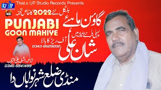 Punjabi Goon Mahiye | Mandi Zilla Sher Nawaba Da  | Saraiki Music Video | Shan Ali | Tappy Mahiye |