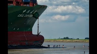 Genscape Vesseltracker - Refloating Of Ultra Large Container Vessel - Cscl Jupiter