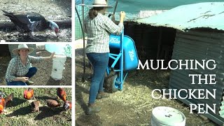 Woodchip mulch in the chicken & duck pens | Showing you the automatic water bowl & bucket feeders!