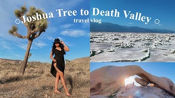 Joshua Tree to Death Valley Travel Vlog | Alyssa Abina