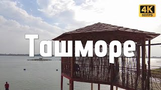 видео: Ташкентское море. База Сазан картинка: Ташкентское море. База Сазан