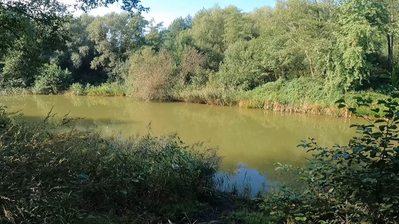 Tajemniczy zbiornik w lesie Pzw