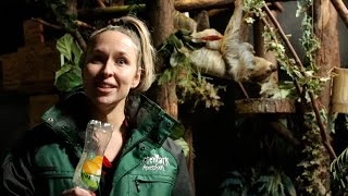 Flessenactie Adopteer Regenwoud Dierenpark Amersfoort