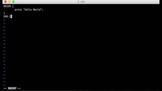 "Hello World" in Awk Profile